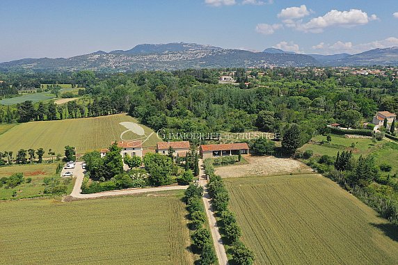 [G. Immobilier de Prestige] A Aubignan, un mas avec gîte sur 6 hectares