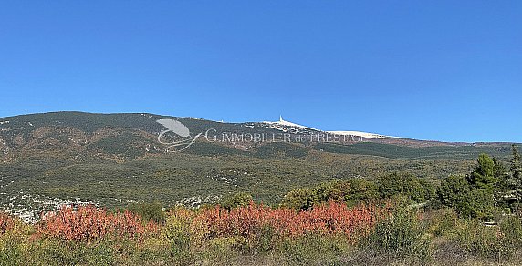 [G. Immobilier de Prestige] Un châlet dans le Ventoux 