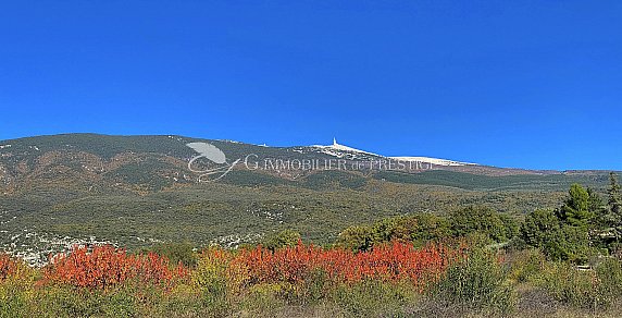 [G. Immobilier de Prestige] Un châlet dans le Ventoux 